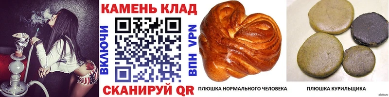 блэк спрут рабочий сайт  купить наркоту  Заречный  Гашиш Ice-O-Lator 